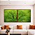 Duo de Quadros Quadrados Árvores Folhagem Verde Vibrante Natureza Canvas Moldura - Imagem 2