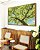 Quadro Horizontal Árvore Frutífera Céu Azul Turquesa Natureza Canvas Moldura - Imagem 5