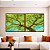 Duo de Quadros Quadrados Árvore Frutífera Céu Azul Turquesa Natureza Canvas Moldura - Imagem 4