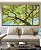 Trio de Quadros Estilizados Árvore Frutífera Céu Azul Turquesa Natureza Canvas Moldura - Imagem 5