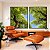 Duo de Quadros Árvores Folhagem Verde Céu Limpo Natureza Canvas Moldura - Imagem 5
