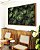 Quadro Horizontal Folhagem Verde de Planta Antúrio Tropical Natureza Canvas Moldura - Imagem 3