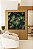 Quadro Quadrado Folhagem Verde de Planta Antúrio Tropical Natureza Canvas Moldura - Imagem 5