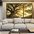 Trio de Quadros Árvore Céu Luzes Douradas Sol Natureza Canvas Moldura - Imagem 1