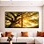 Duo de Quadros Quadrados Árvore Céu Luzes Douradas Sol Natureza Canvas Moldura - Imagem 5