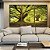 Trio de Quadros Árvores Em Floresta Natureza Folhas Claridade Natureza Canvas Moldura - Imagem 2