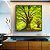 Quadro Quadrado Árvores Campo Floresta Natureza Iluminada Canvas Moldura - Imagem 4