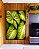 Quadro Vertical Planta Folha Verde Claro Vivo Natureza Canvas Moldura - Imagem 2