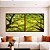 Duo de Quadros Quadrados Paisagem Céu Árvores Folhas Galhos Equilibrados Natureza Canvas Moldura - Imagem 1