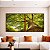Duo de Quadros Quadrados Árvore Galhos Folhas Verdes Vibrantes Céu Paisagem Natureza Canvas Moldura - Imagem 1