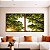 Duo de Quadros Quadrados Céu Claro Árvore Folhas Verdes Paisagem Natureza Canvas Moldura - Imagem 3