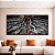 Duo de Quadros Quadrados Raízes de Árvore Preto e Branco Natureza Canvas Moldura - Imagem 1
