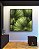 Quadro Quadrado Planta Palmeira-Leque Verde Folhagem Natureza Canvas Moldura - Imagem 5