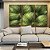 Trio de Quadros Planta Palmeira-Leque Verde Folhagem Natureza Canvas Moldura - Imagem 5