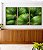 Trio de Quadros Planta Palmeira-Leque Verde Folhagem Natureza Canvas Moldura - Imagem 1