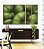 Trio de Quadros Estilizados Planta Palmeira-Leque Verde Folhagem Natureza Canvas Moldura - Imagem 4