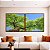Duo de Quadros Quadrados Céu Azul Vivo Copa de Árvore Folhas Verdes Paisagem Canvas Moldura - Imagem 4