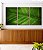Trio de Quadros Folha Verde Intenso Textura Natureza Paisagem Canvas Moldura - Imagem 4