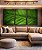 Trio de Quadros Folha Verde Intenso Textura Natureza Paisagem Canvas Moldura - Imagem 1
