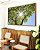 Quadro Horizontal Natureza Folhas Verdes Árvore Céu Azul Sol Canvas Moldura - Imagem 2