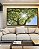 Quadro Horizontal Natureza Folhas Verdes Árvore Céu Azul Sol Canvas Moldura - Imagem 5