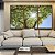 Trio de Quadros Natureza Folhas Verdes Árvore Céu Azul Sol Canvas Moldura - Imagem 5