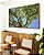 Quadro Horizontal Copa de Árvore Folhas Verdes Céu Azul Vivo Natureza Canvas Moldura - Imagem 2