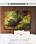 Duo de Quadros Abstrato Amarelo Ouro Verde Vermelho Bordô Canvas Moldura - Imagem 3