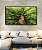 Quadro Paisagem Árvore Folhas Verdes Floresta Natureza Canvas Moldura - Imagem 4