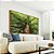 Quadro Paisagem Árvore Folhas Verdes Floresta Natureza Canvas Moldura - Imagem 2