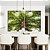Duo de Quadros Paisagem Árvore Folhas Verdes Floresta Natureza Céu Azul Canvas Moldura - Imagem 2