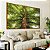 Duo de Quadros Paisagem Árvore Folhas Verdes Floresta Natureza Céu Azul Canvas Moldura - Imagem 5