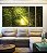 Trio de Quadros Estilizados Luzes do Sol em Caminho Floresta Árvores Paisagem Natureza Canvas Moldura - Imagem 1