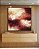 Quadro Quadrado Abstrato Coral Vermelho Borbô Efeito Concreto Canvas Moldura - Imagem 1