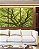 Trio de Quadros Copa de Árvore Verde Natureza Paisagem Luz Solar Canvas Moldura - Imagem 2