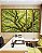 Trio de Quadros Estilizados Copa de Árvore Verde Natureza Paisagem Luz Solar Canvas Moldura - Imagem 4