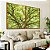 Duo de Quadros Copa de Árvore Verde Luz Solar Céu Azul Natureza Canvas Moldura - Imagem 4