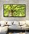Quadro Horizontal Copa de Árvore Verde Iluminada Céu Natureza Paisagem Canvas Moldura - Imagem 5