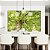 Duo de Quadros Copa de Árvore Verde Iluminada Céu Natureza Paisagem Canvas Moldura - Imagem 3