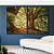 Duo de Quadros Árvores Iluminadas Douradas Floresta Paisagem Natureza Canvas Moldura - Imagem 4