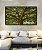 Quadro Horizontal Árvore Iluminada Folhagem Verde Luz Natural Canvas Moldura - Imagem 3