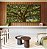 Trio de Quadros Árvore Iluminada Folhagem Verde Luz Natural Canvas Moldura - Imagem 3