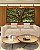 Duo de Quadros Quadrados Árvore Iluminada Folhagem Verde Luz Natural Canvas Moldura - Imagem 1