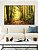 Quadro Horizontal Caminho Iluminado na Floresta Dourada Natureza Paisagem Canvas Moldura - Imagem 2