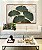 Quadro Horizontal Folhas Ginkgo Verde Esmeralda Dourado Natureza Canvas Moldura - Imagem 1