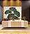 Quadro Horizontal Folhas Ginkgo Verde Esmeralda Dourado Natureza Canvas Moldura - Imagem 4