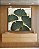 Quadro Quadrado Folhas Ginkgo Verde Esmeralda Dourado Natureza Canvas Moldura - Imagem 2