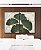 Duo de Quadros Folhas Ginkgo Verde Esmeralda Dourado Natureza Canvas Moldura - Imagem 3