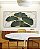 Duo de Quadros Quadrados Folhas Ginkgo Verde Esmeralda Dourado Natureza Canvas Moldura - Imagem 2