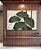 Trio de Quadros Estilizados Folhas Ginkgo Verde Esmeralda Dourado Natureza Canvas Moldura - Imagem 5